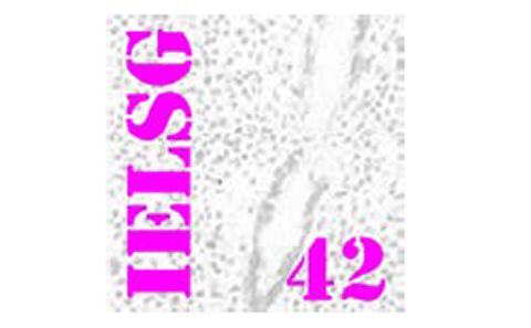 IELSG42 Logo