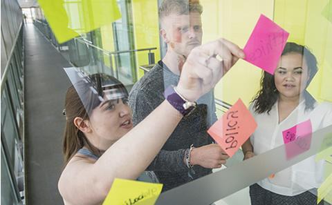 Undergraduate BSc Education students