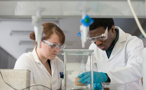 Students in lab