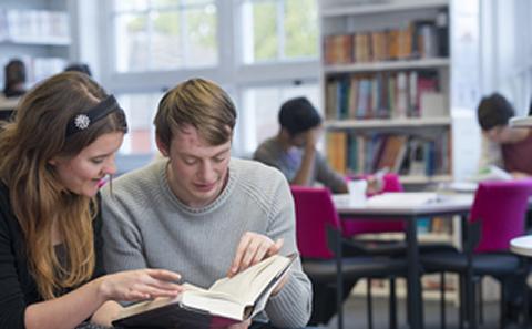 Explore our courses