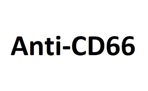 Anti-CD66 Logo