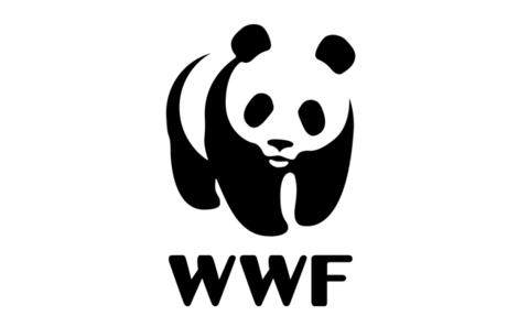 WWF: Volunteer & Internship Programme