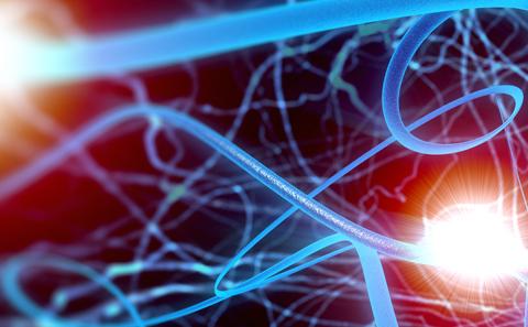 Postgraduate options in Psychology