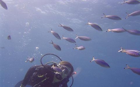Diver with coral