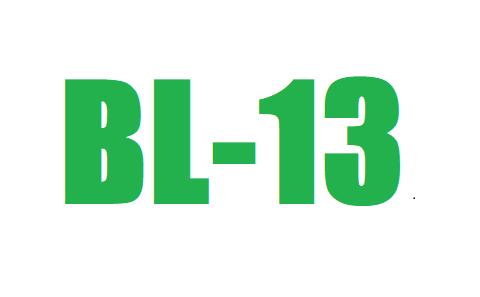 BL13 logo