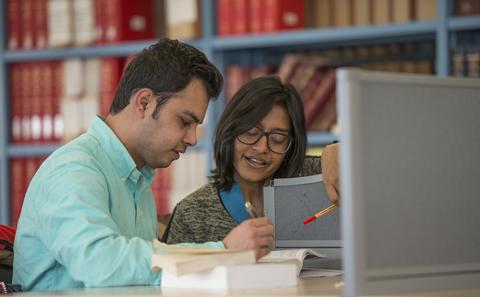 Students studying in the library
