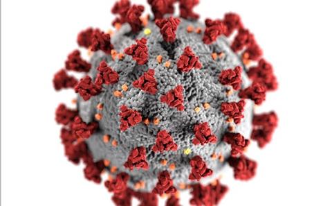 Computer image of a virus