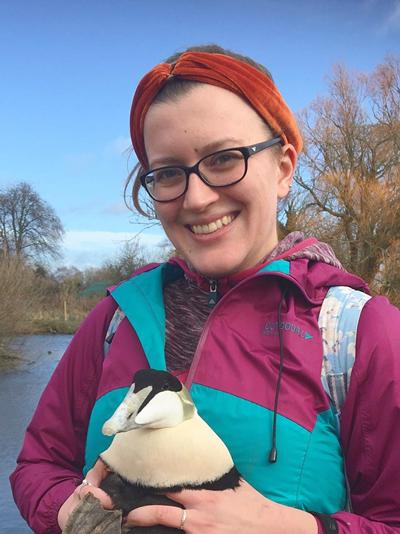 PhD student Alex Nicol-Harper holds common eider during a vaccination