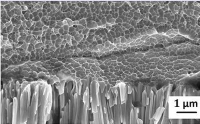 Co-Ni-P coating growth from columnar crystal to equiaxed amorphous structure