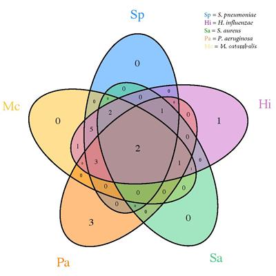 This shows the diversity of the relationships occurring between microbial species in the upper respiratory tract of the general population