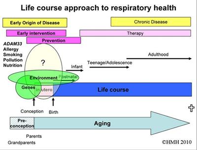 Gene Environment Interactions in Developing Lungs and their Involvement in the Early Origin of Asthma.