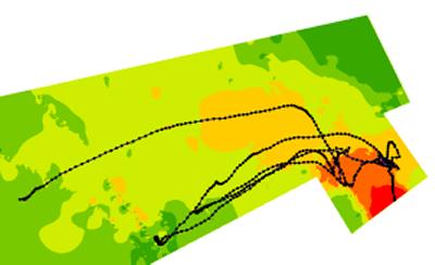 Eel swim path overlain on mapped water velocities