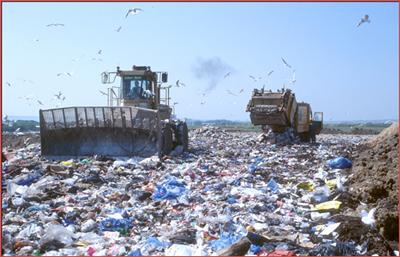 Active UK Municipal Solid Waste landfill site (Source: M Palmer)