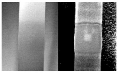 Thermal PT and PPT phase images of CFRP single lap 
