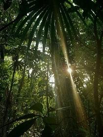 Belize 4