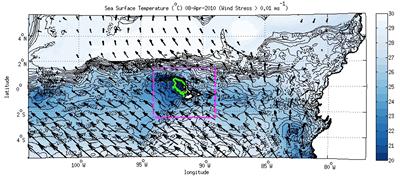 Wind stress and sea surface temperature in eastern equatorial Pacific