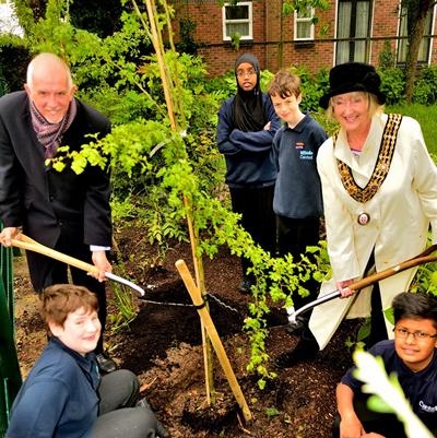 A tree is planted to mark the start of Southampton BioBlitz