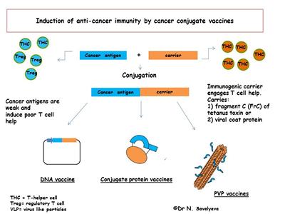 Induction of anti-cancer immunity by cancer conjugate vaccines
