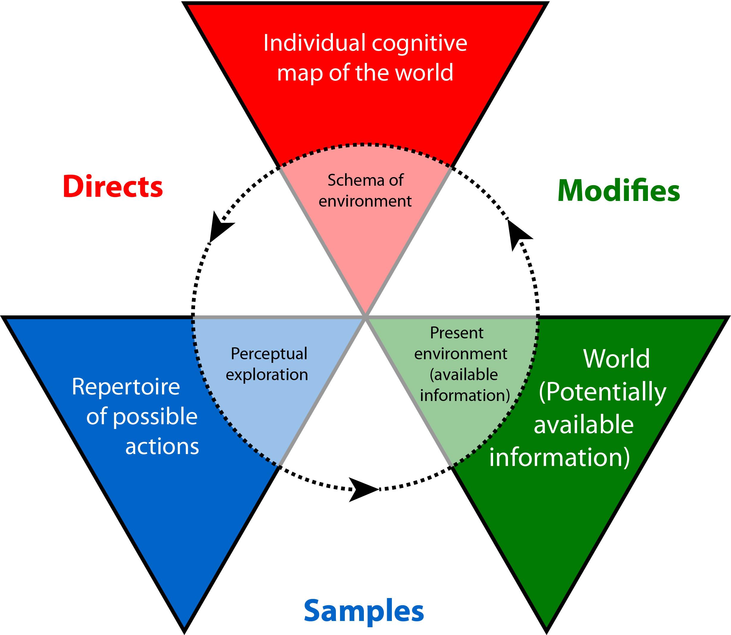 Bottom-up processing image