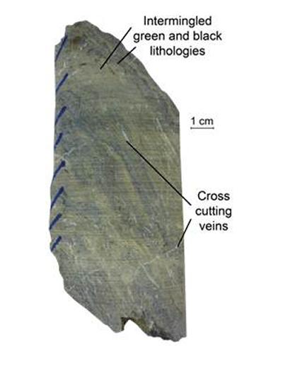 Core from DFDP1b borehole showing cross cutting veins and complex intermingling of lithologies
