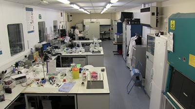 Wet Laboratory