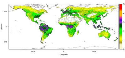 Global distribution of vegetation chlorophyll content. 