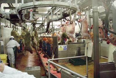 How is the meat processing industry responding to the challenges of AMR?