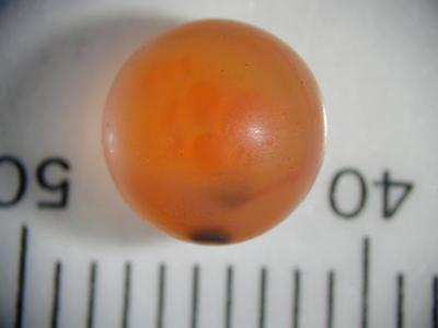 Salmon egg with ova (dark patch)