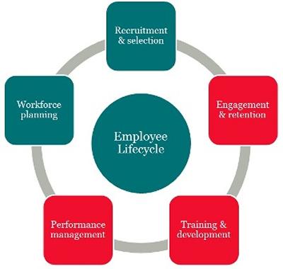 Employee lifecycle