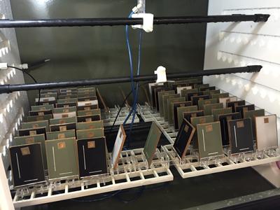 Samples Placed Inside The New Accelerated Corrosion Chamber