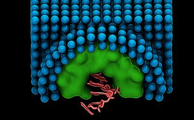 showing a single stranded DNA molecule (pink) embedded within a nanopore (green) in a membrane mimetic bilayer (blue)