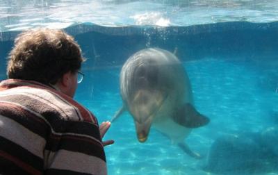 Professor Leighton with a dolphin