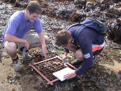 Marine biology fieldwork | Ocean and Earth Science, National Oceanography Centre Southampton ...
