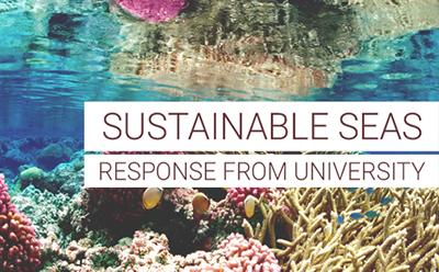 sustainable seas