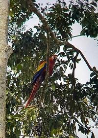 Belize 2