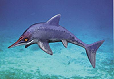 Malawania, the Jurassic-style Cretaceous ichthyosaur from Iraq