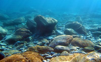 An underwater scene with rocks and weed
