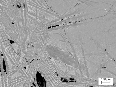 SEM image of a glassy mine waste product following processing