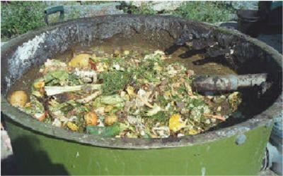 Digestion of food waste collected from households