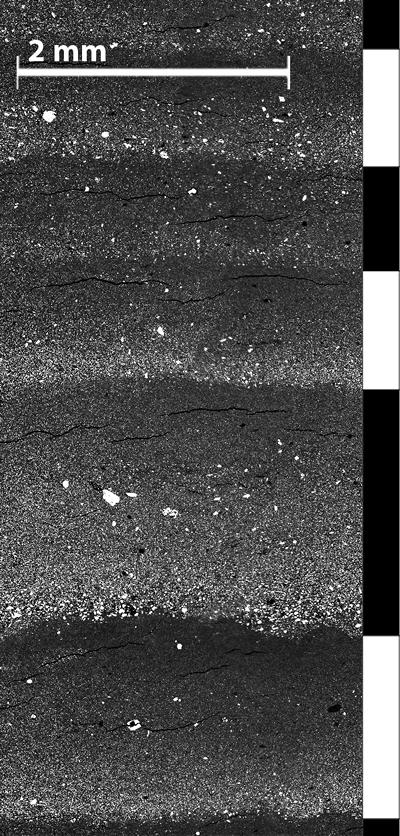 Varved sediment in a backscatter electron image. Pale coarser silt is deposited in summer, while dark finer clay settles in winter. Individual years are denoted by white & black side bars.  