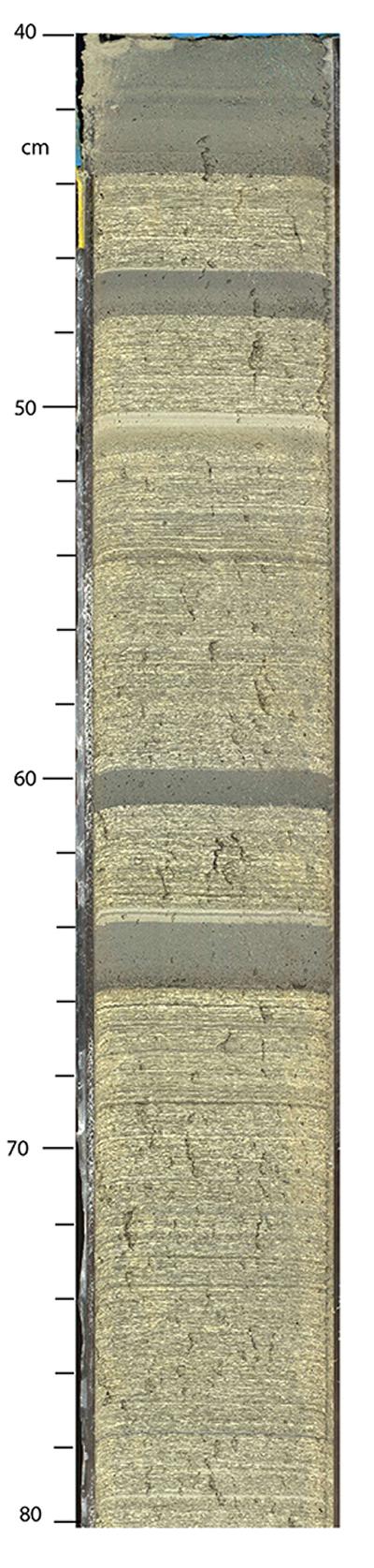Example of sediment core collected during Exp. 381.