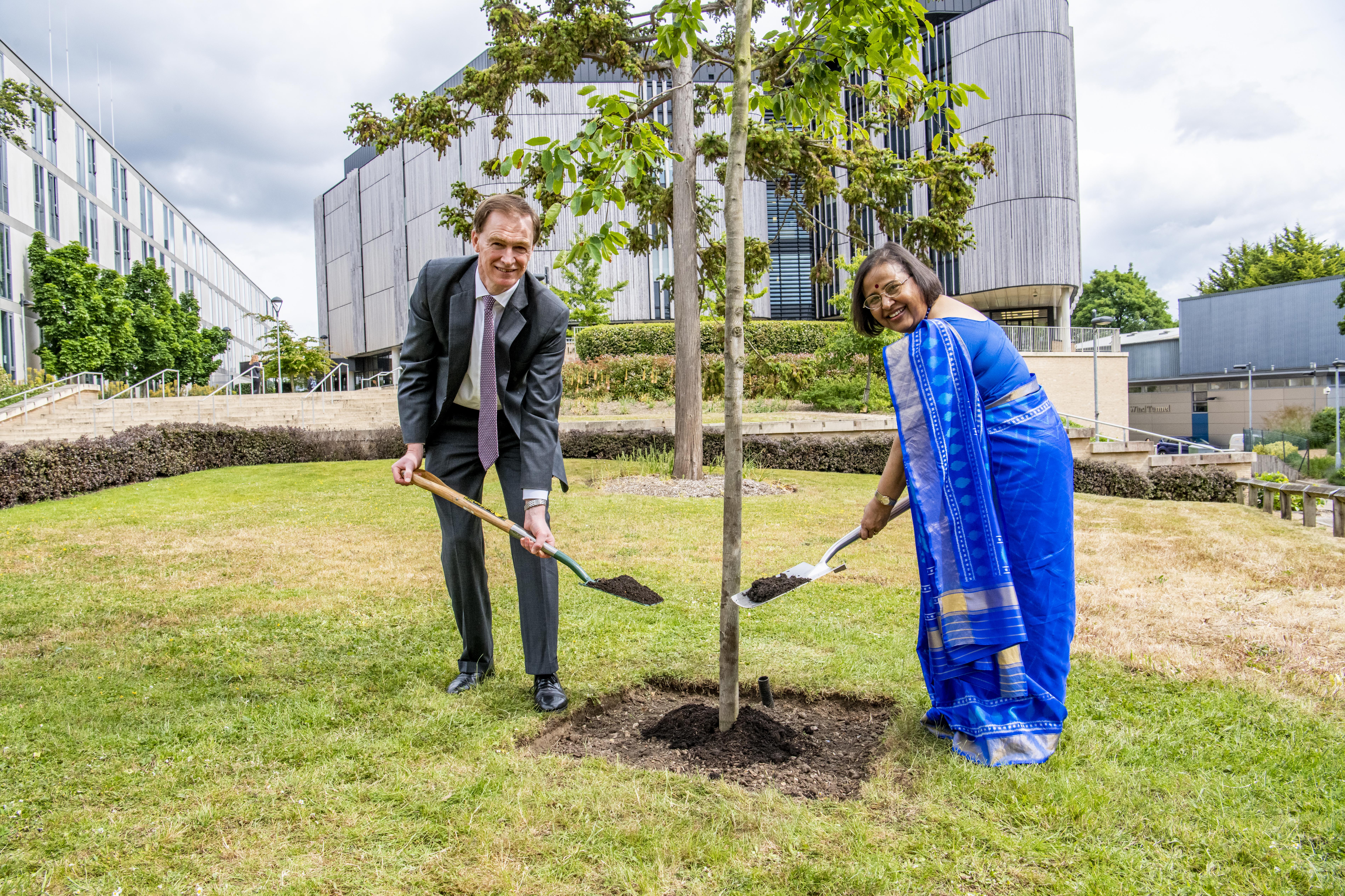 Tree Planting