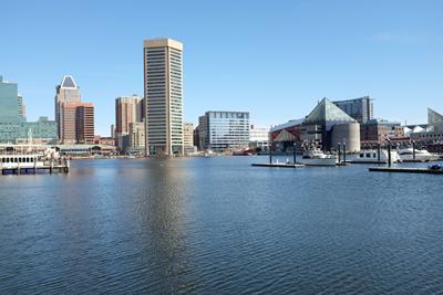 Image of Maryland University
