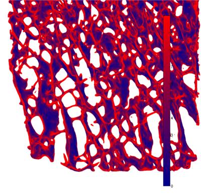 Microstructural models based on micro-CT