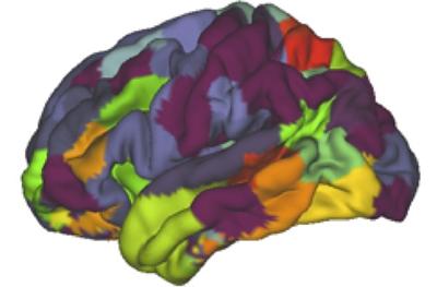 Estimate of functionally distinct brain regions