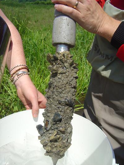 Chalk stream core with fine sediment filling gravel pores