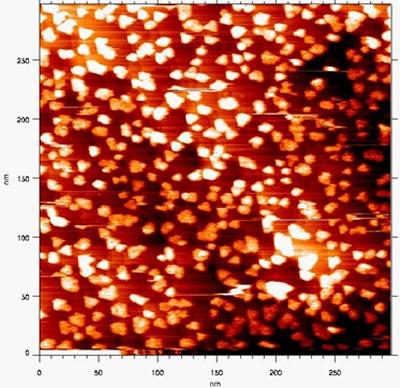 STM image of a TiOx/Au (111) surface, 287x297nm.