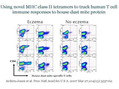 Using novel NHC class II tetramers to track human T cell immune responses to house dust mite protein