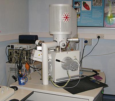 Scanning Electron Microscopy | Biomedical Imaging Unit | University of  Southampton