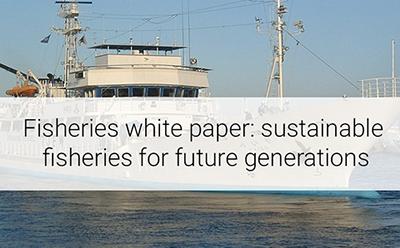 Fisheries White Paper 